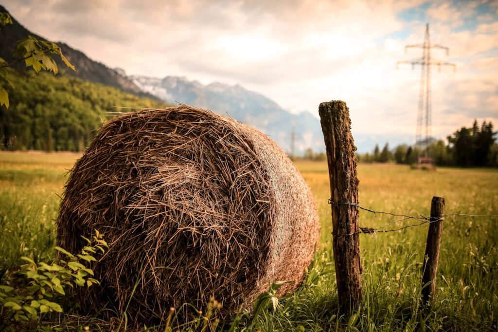 Landschaft Heuballen Die besten Country Rock Bands weltweit